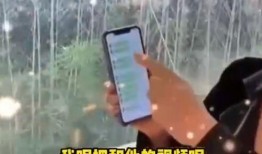 张兰爆料跑路了吗视频,跑路真相大揭秘